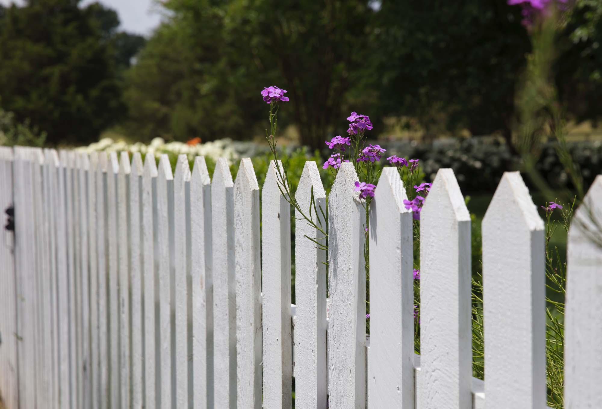3 Reasons to Consider a Spring Fence Installation
