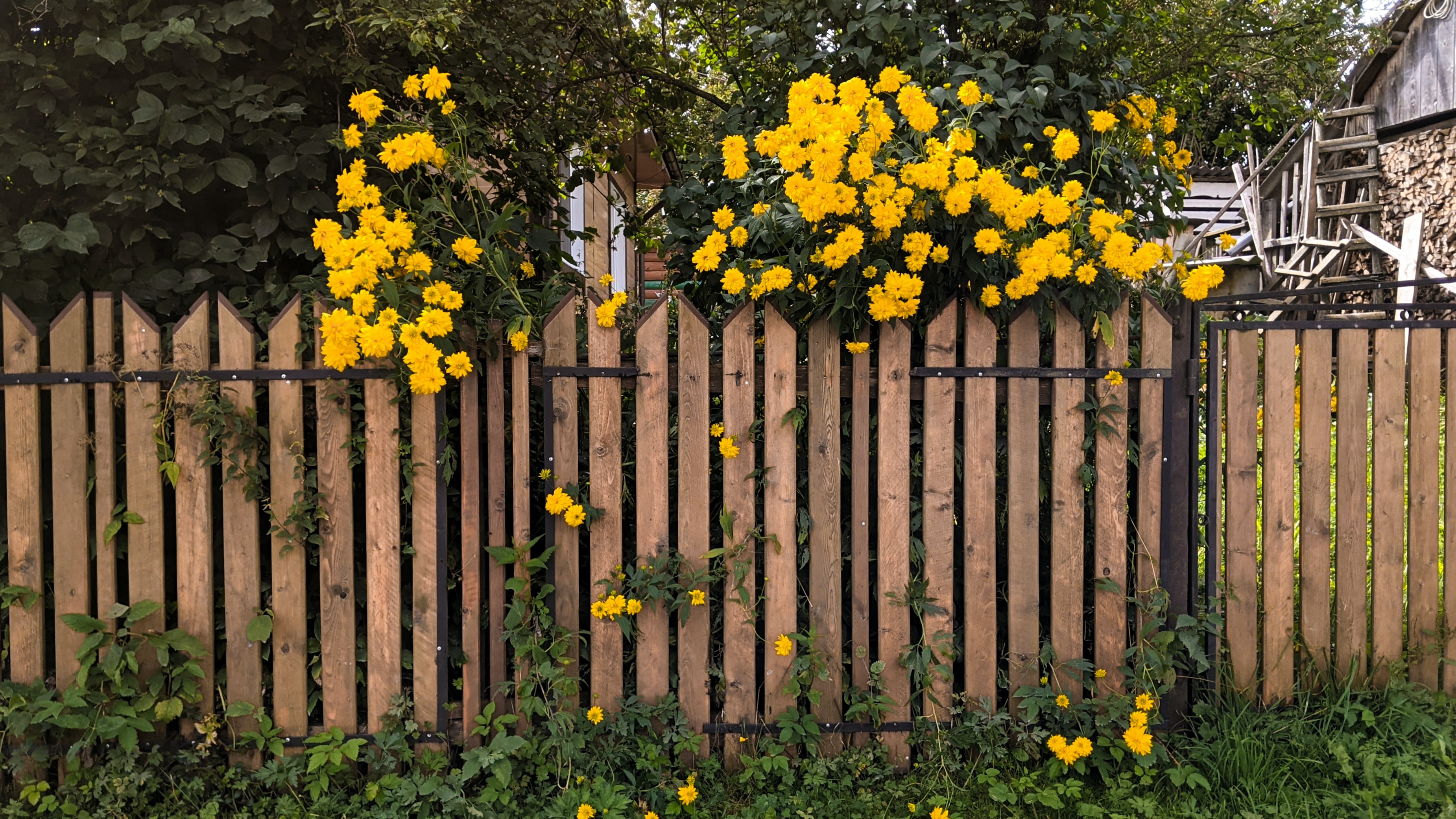 5 Reasons to Add a Gate to Your Fence