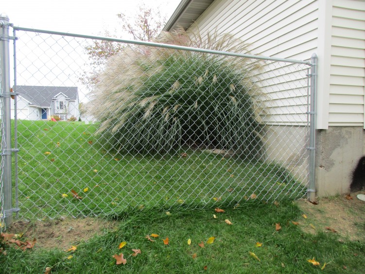chain link fence installation fencing west Michigan