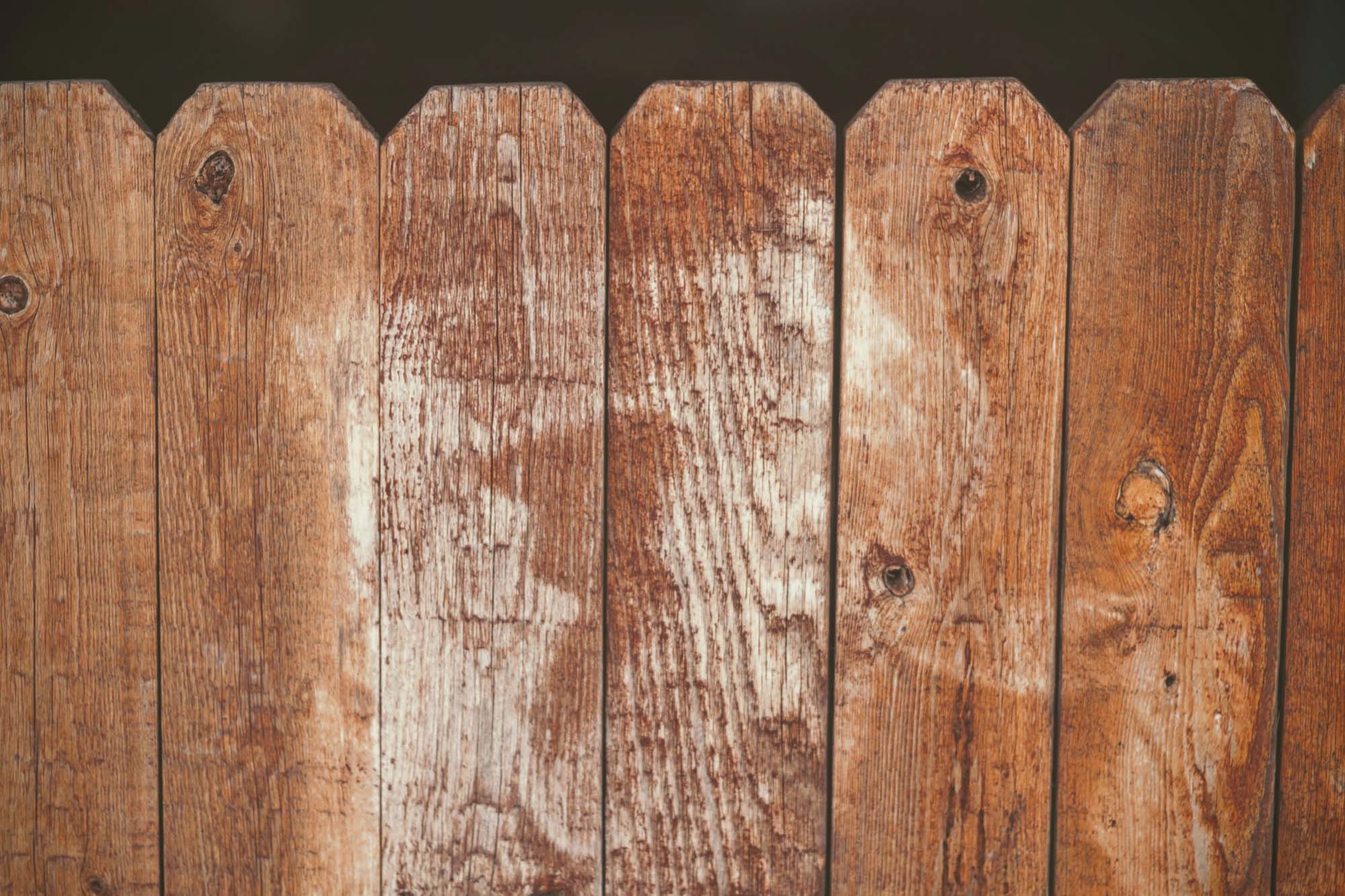 More Than a Typical Wood Fence